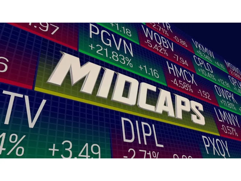 Cổ phiếu Mid Cap là gì? Danh sách mã MidCap của Việt Nam