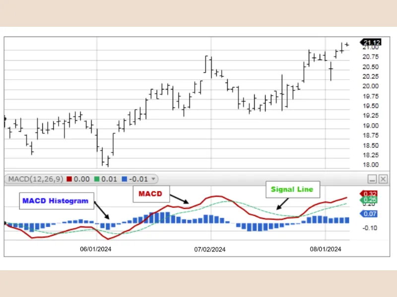 Trend Line