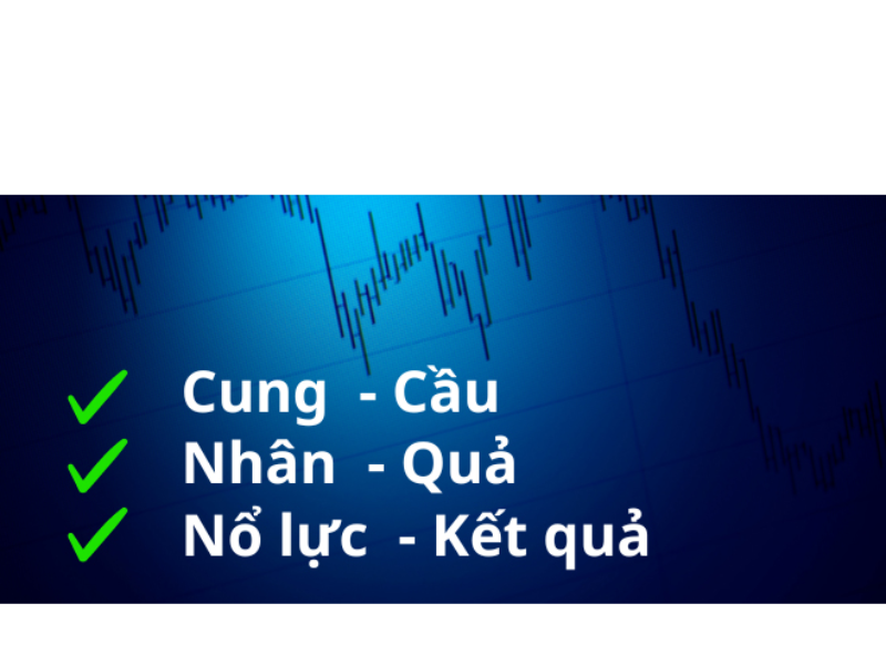 Những quy luật của phương pháp Wyckoff
