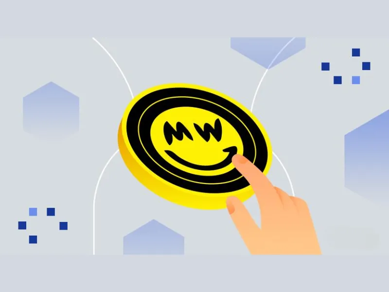Mimblewimble Grin Coin