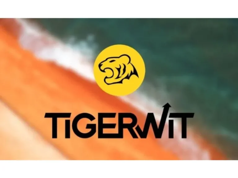 Đánh Gía Sàn TigerWit