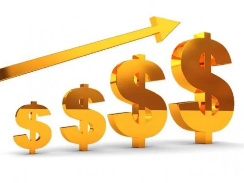 Tổng thu nhập của một cá nhân là gì? Các tính năng và ví dụ - Ảnh 1.