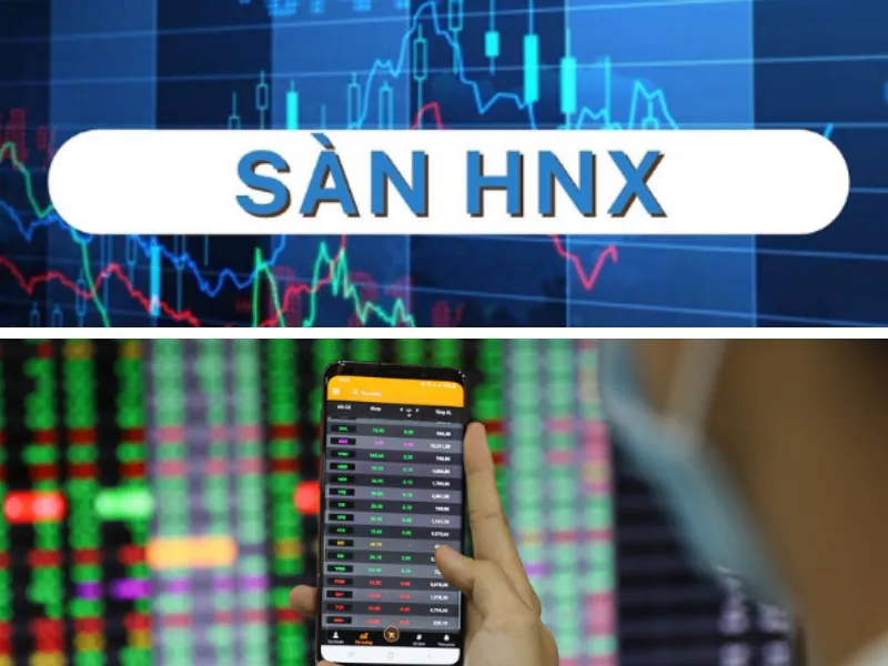 sàn HOSE và sàn HNX