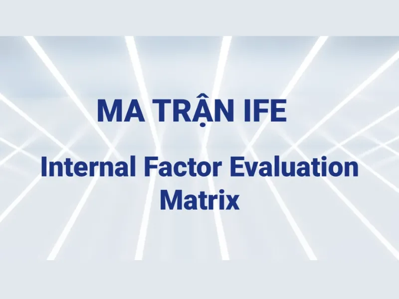 ma trận IFE