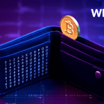 What is Wallet Address in Crypto?