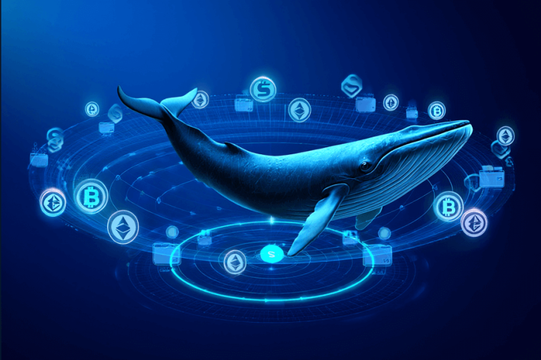 What is Crypto Whale Wallet Tracker?