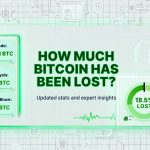 AVT HOW MUCH BITCOIN HAS BEEN LOST