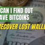 webtaichinh - How can I find out if I have Bitcoins