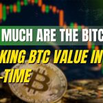 How much are the Bitcoins?