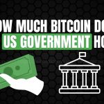 How much Bitcoin does the US government hold