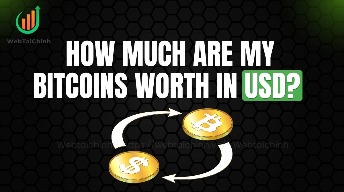 How much are my bitcoins worth in USD