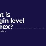 What is margin level in forex