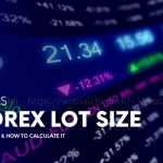 what is a forex lot size