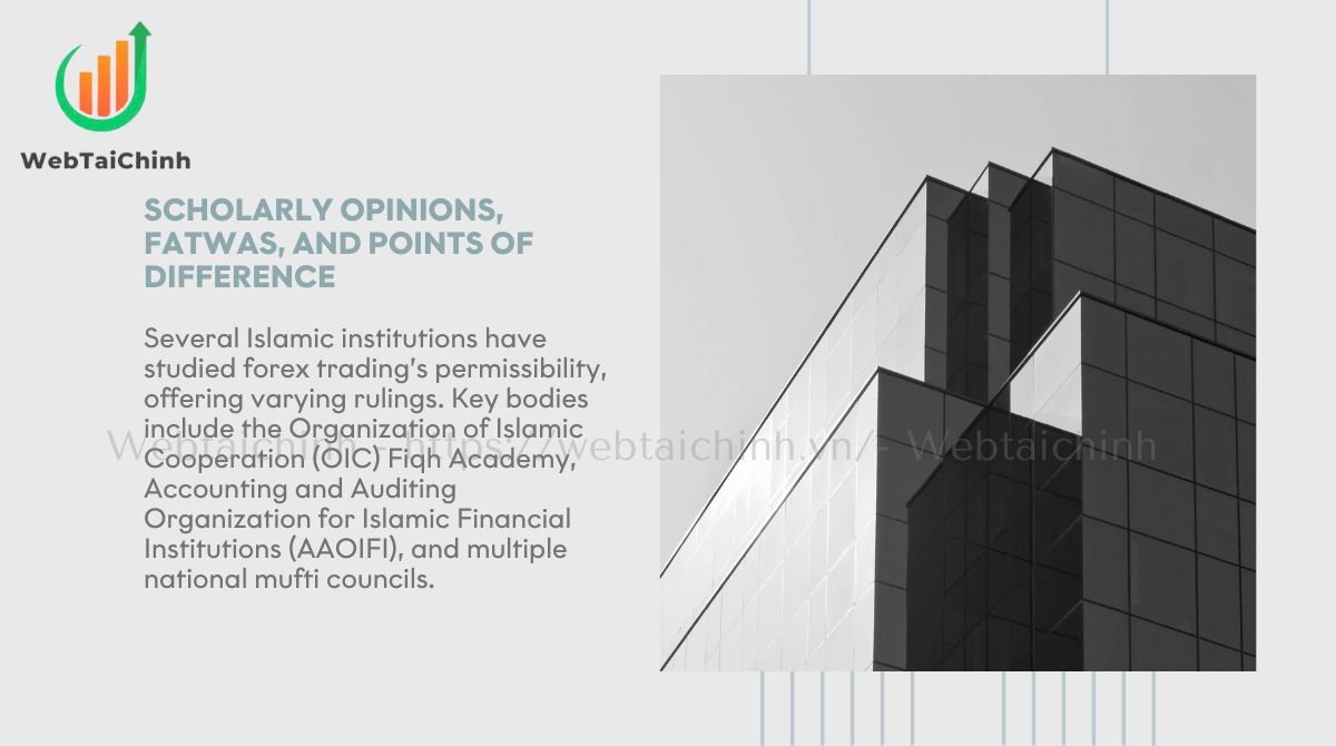 Scholarly opinions, fatwas, and points of difference