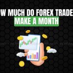 how much do forex traders make a month