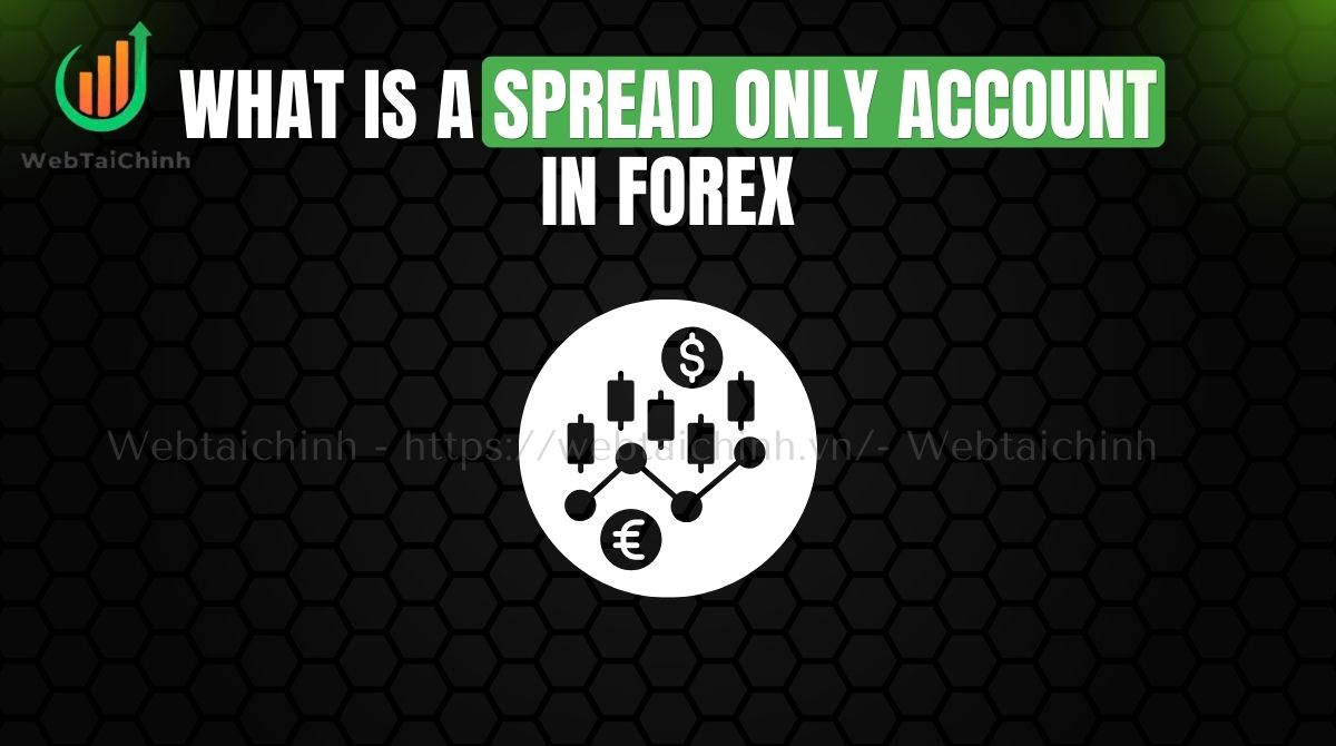 what is a spread only account in forex
